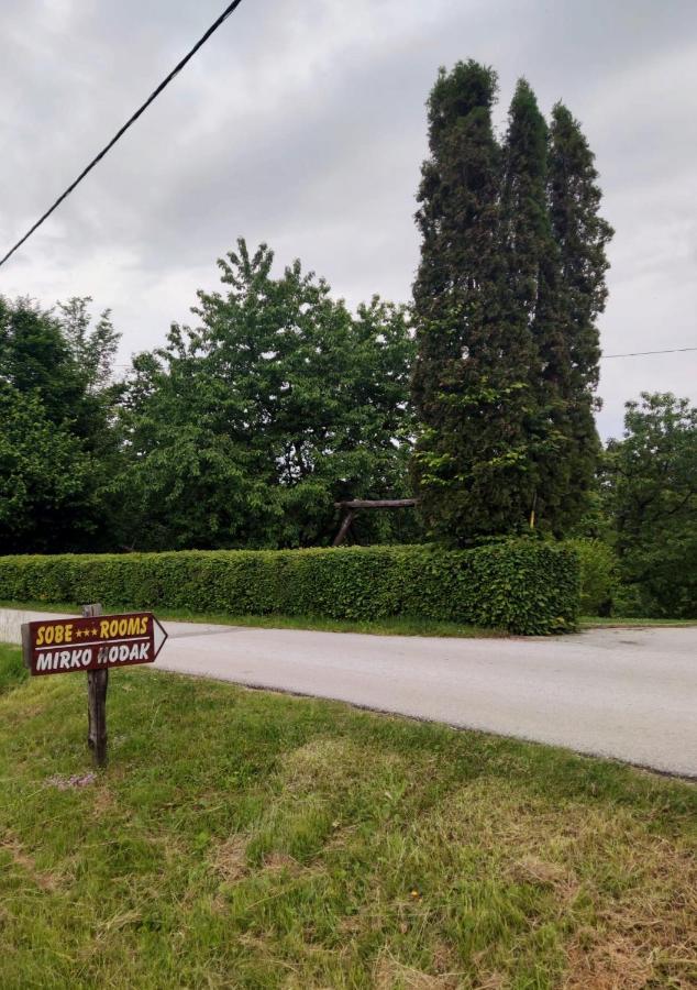 Guesthouse Mirko Hodak Selište Drežničko Exterior foto