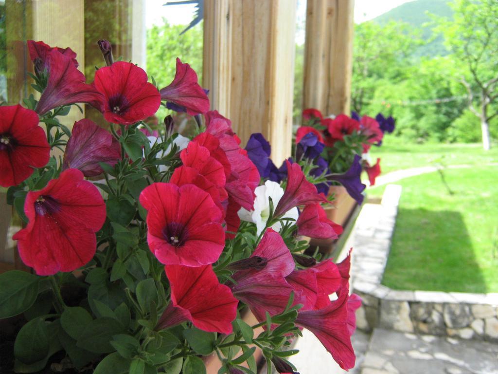 Guesthouse Mirko Hodak Selište Drežničko Exterior foto